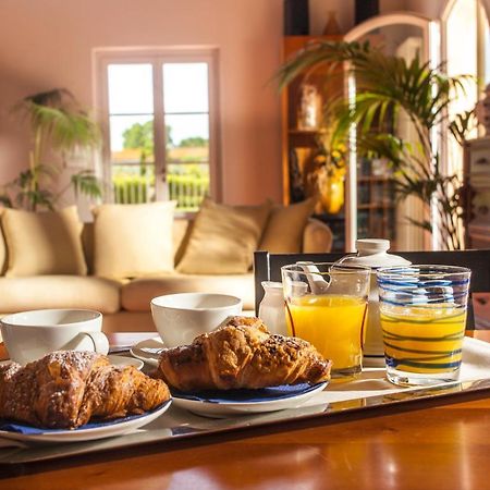 Cascina Canova B&B San Giuliano Terme Eksteriør billede