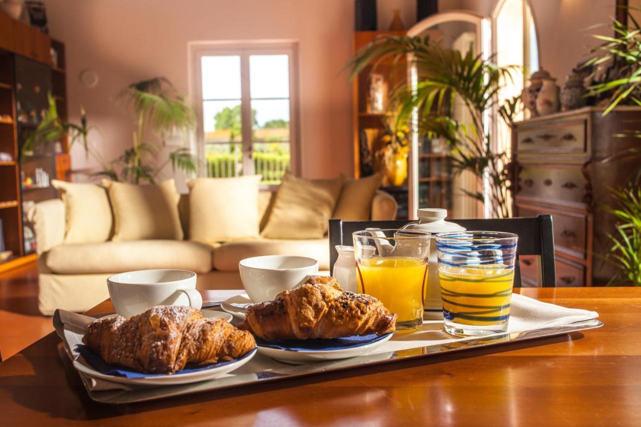 Cascina Canova B&B San Giuliano Terme Eksteriør billede