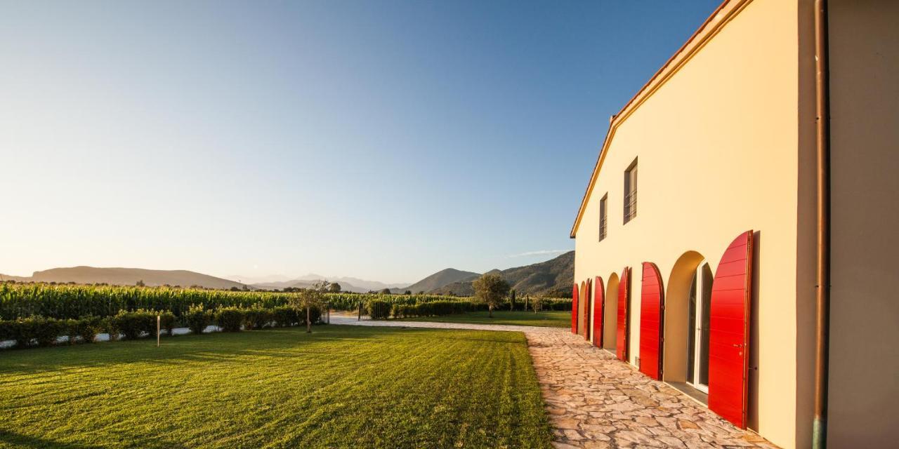 Cascina Canova B&B San Giuliano Terme Eksteriør billede