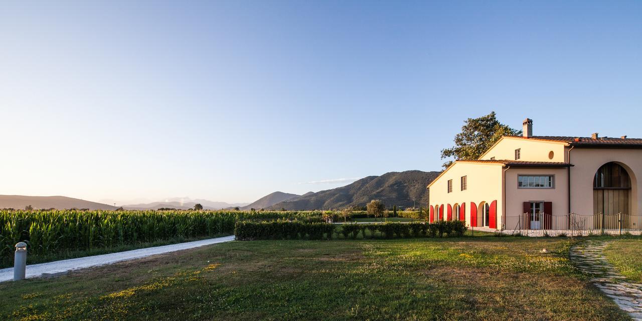 Cascina Canova B&B San Giuliano Terme Eksteriør billede