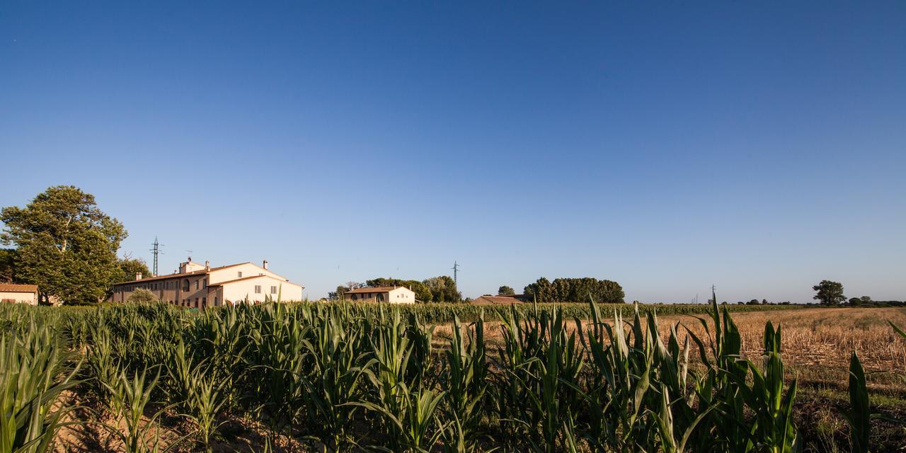 Cascina Canova B&B San Giuliano Terme Eksteriør billede