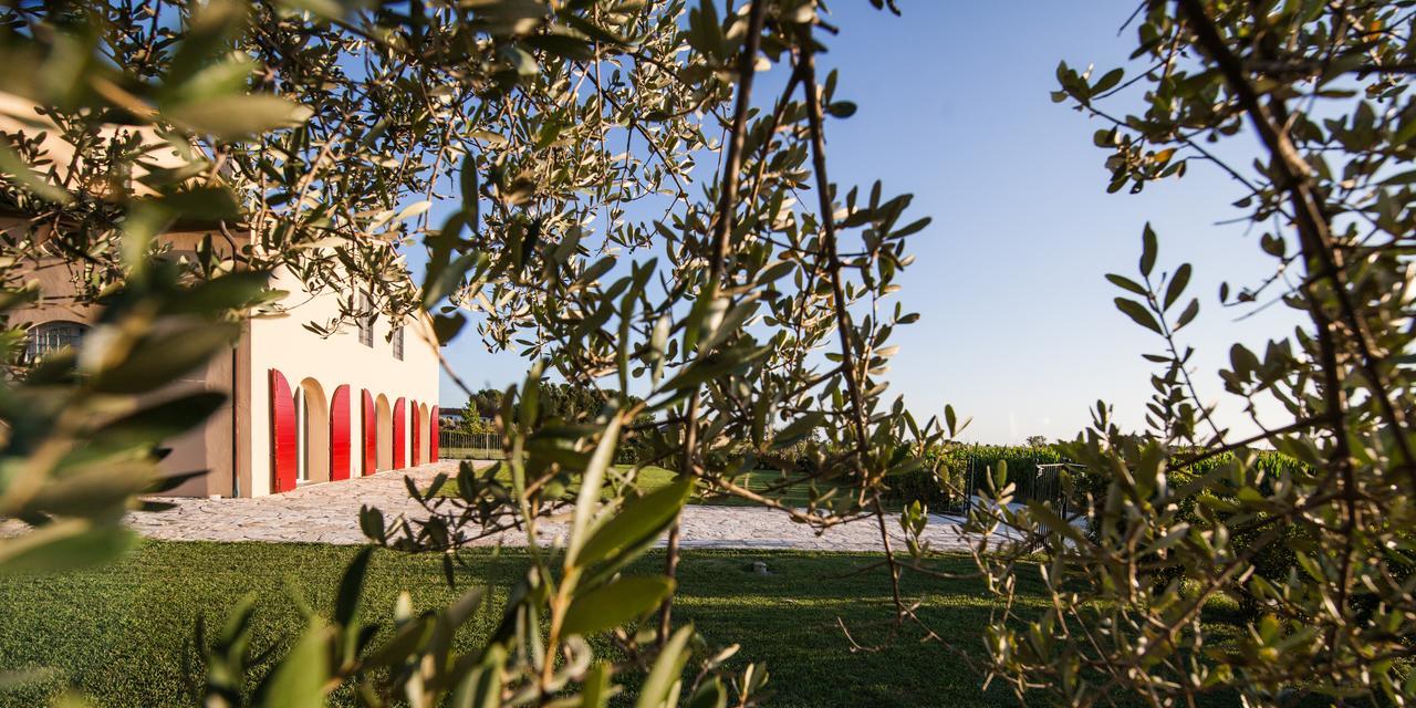 Cascina Canova B&B San Giuliano Terme Eksteriør billede